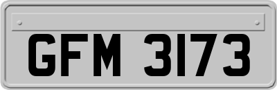 GFM3173