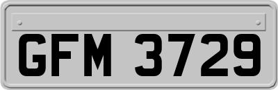 GFM3729