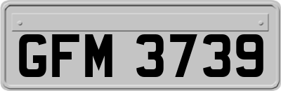 GFM3739