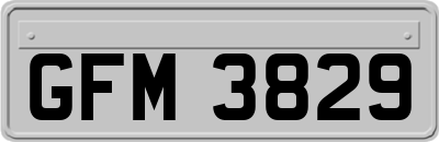 GFM3829