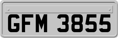 GFM3855