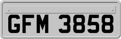 GFM3858