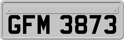 GFM3873
