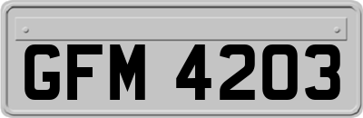 GFM4203