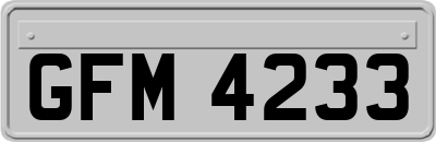 GFM4233