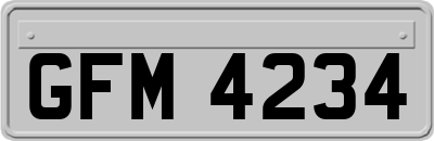 GFM4234