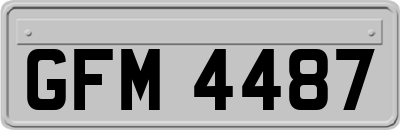 GFM4487