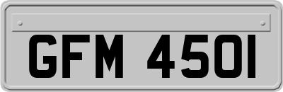 GFM4501