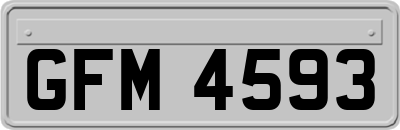 GFM4593