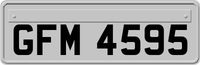 GFM4595