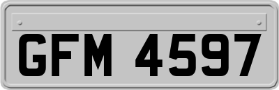 GFM4597