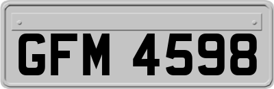 GFM4598