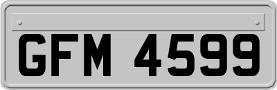 GFM4599