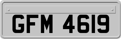 GFM4619