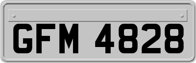 GFM4828