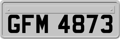 GFM4873