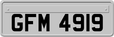 GFM4919