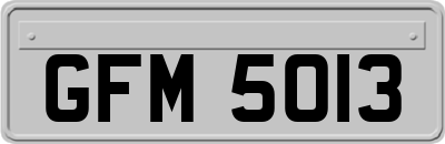 GFM5013