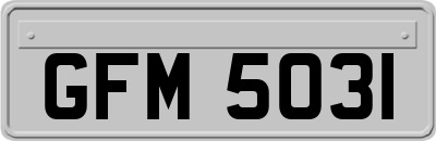 GFM5031