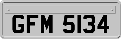 GFM5134