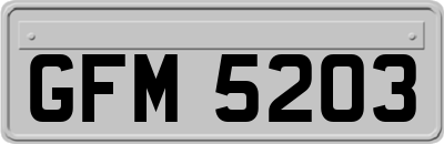 GFM5203