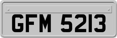GFM5213