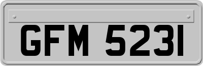 GFM5231