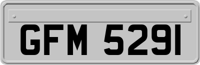GFM5291