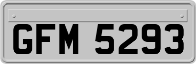 GFM5293