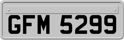 GFM5299