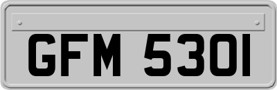 GFM5301