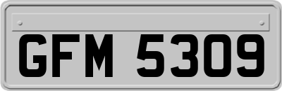 GFM5309