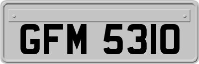 GFM5310