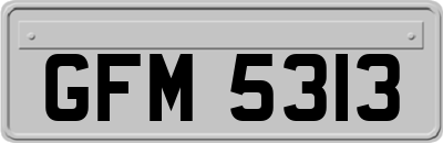 GFM5313