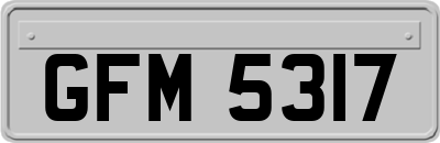 GFM5317