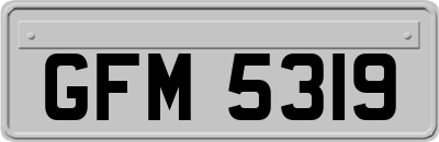 GFM5319