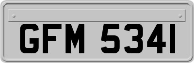 GFM5341