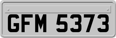 GFM5373