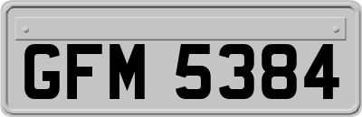 GFM5384