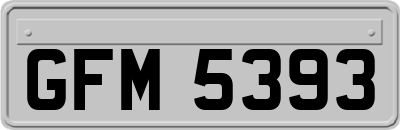 GFM5393
