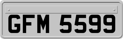 GFM5599