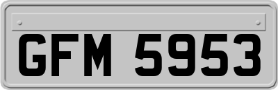 GFM5953