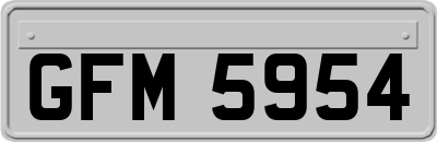 GFM5954