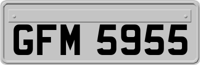 GFM5955