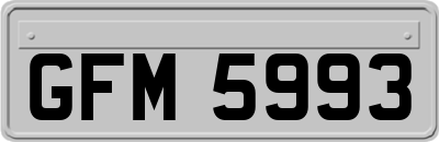 GFM5993
