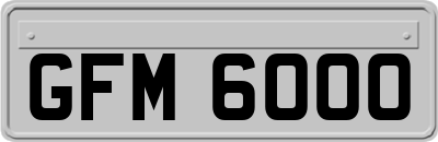 GFM6000