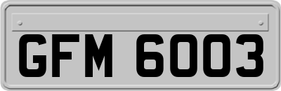 GFM6003
