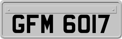 GFM6017