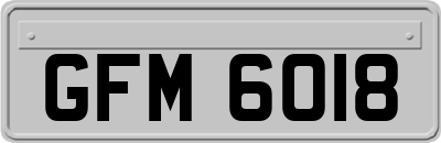 GFM6018