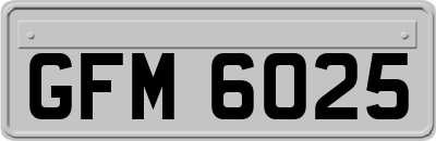 GFM6025